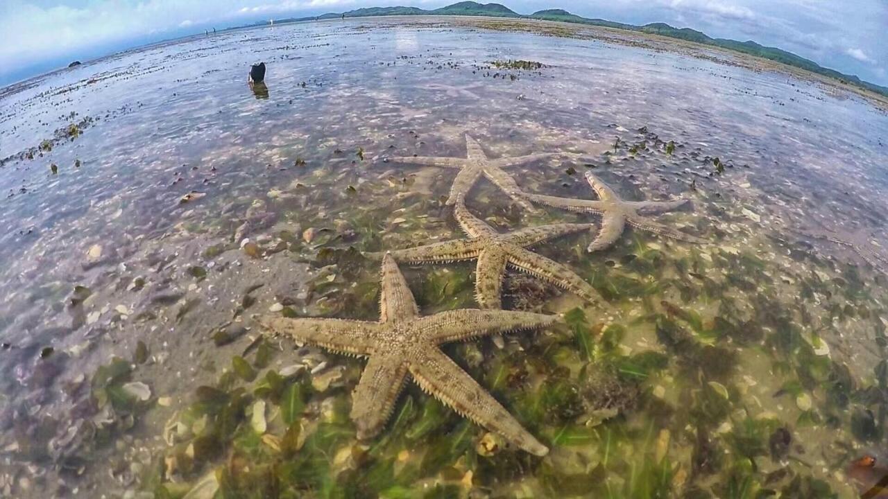 Bankruchaem Homestay Kohpu Ko Pu ภายนอก รูปภาพ